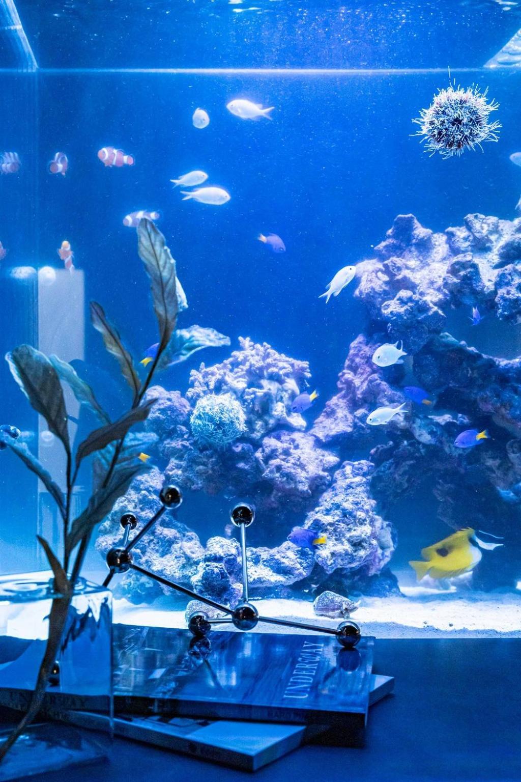 Japavista Aqua Osaka Exterior foto
